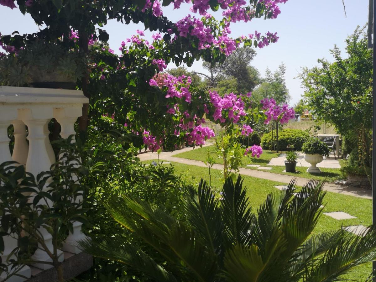 Apartments Daniela فوديس المظهر الخارجي الصورة